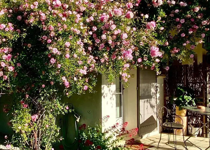 Le Jardin De Lau
